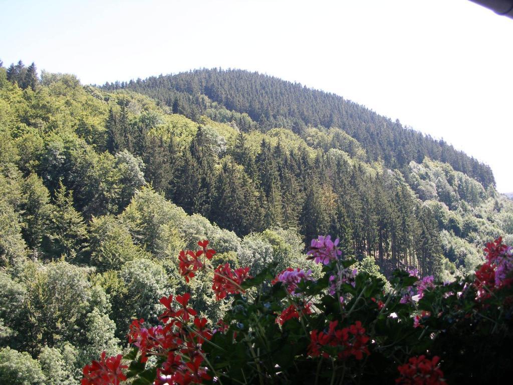 וילינגן Pension Haus Waldfrieden, Meinecardplus Inklusive מראה חיצוני תמונה