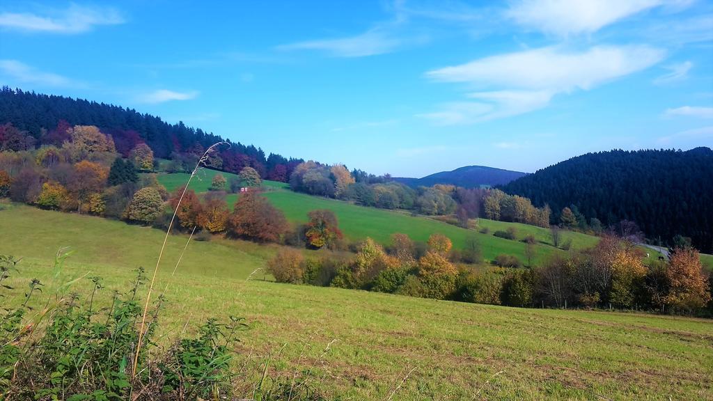 וילינגן Pension Haus Waldfrieden, Meinecardplus Inklusive מראה חיצוני תמונה