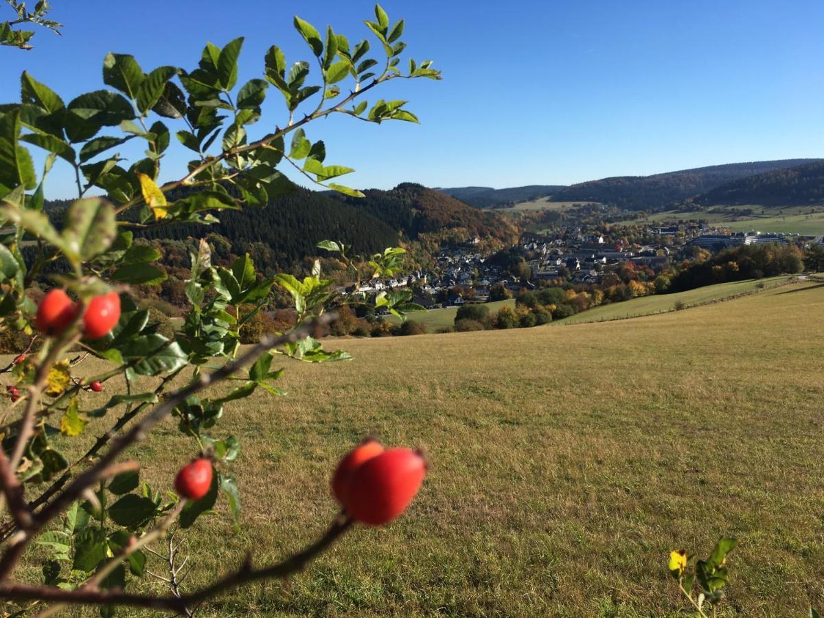 וילינגן Pension Haus Waldfrieden, Meinecardplus Inklusive מראה חיצוני תמונה